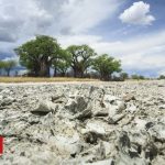 Origin of modern humans ‘traced to Botswana’