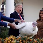 Trump has a big blessing to count this Thanksgiving