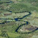 The Amazon burns. But another part of Brazil is being destroyed faster