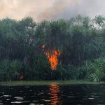 Borneo is burning: The climate bomb experts say is fueled by the West